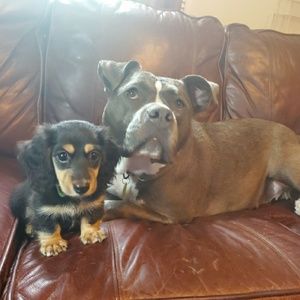 Meet your Posher, Cindy